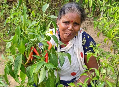 Sasmita Kadmaset shows chili plants growing in her kitchen garden. She is from Sarendrapadar village where MCC partner Society for Nature, Education and Health (SNEH) is helping tribal communities in